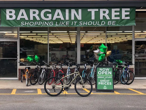Bargain Bins LLC in Fort Payne, AL storefront
