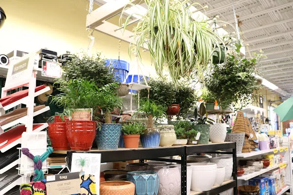 Canton Ace Hardware in Baltimore, MD storefront