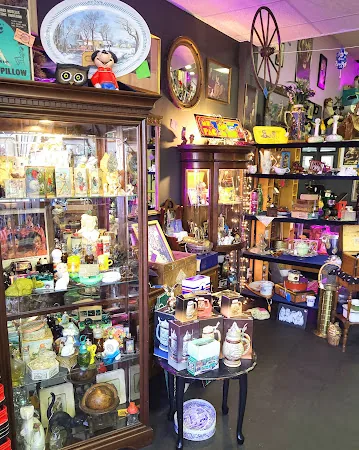 Scrappy Cat (a curiosity shop) in Lansdowne, PA storefront